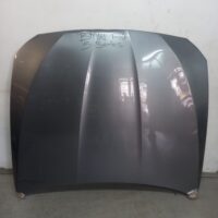 BMW F10 5 Series Bonnet Replacement